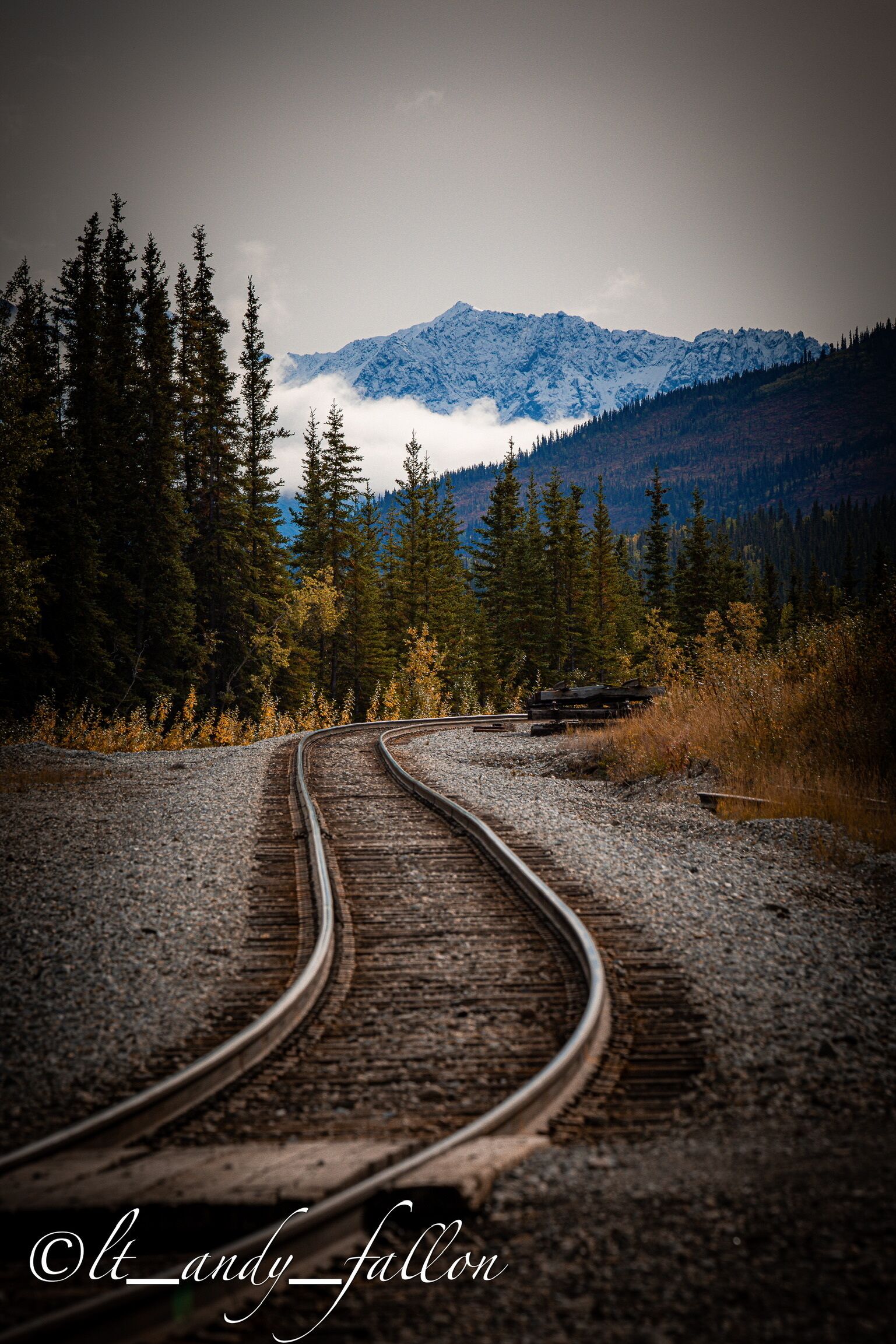 Vía de tren serpenteando por un bosque, con montañas al fondo.