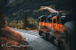 Un tren sobre rieles, con una montaña boscosa al fondo.