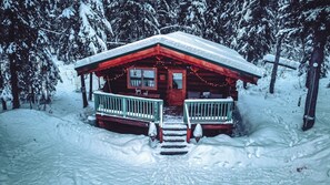 Exterior - Private Aurora Log Cabin in Fairbanks Northern Lights Views (Fairbanks)