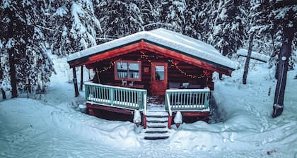 Private Aurora Log Cabin in Fairbanks Northern Lights Views