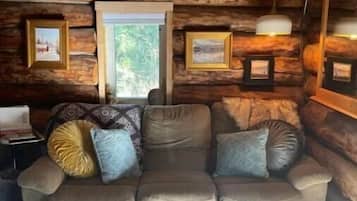 Smart TV, chimenea, libros