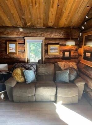 Smart TV, chimenea y libros 
