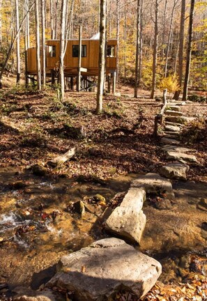 Property grounds - Discover the ultimate wedding experience at Cherryfield Luxury Camping. (Brevard)