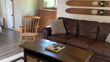 TV, fireplace, DVD player, books