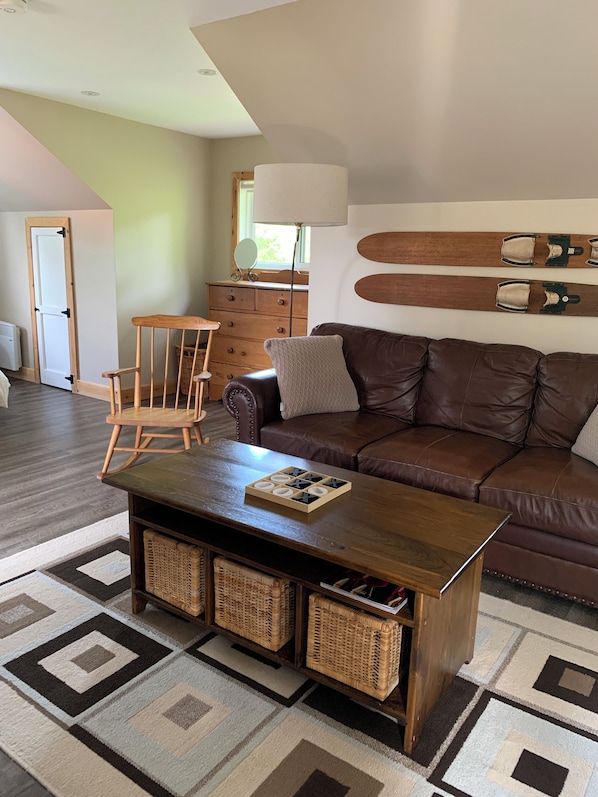 TV, fireplace, DVD player, books