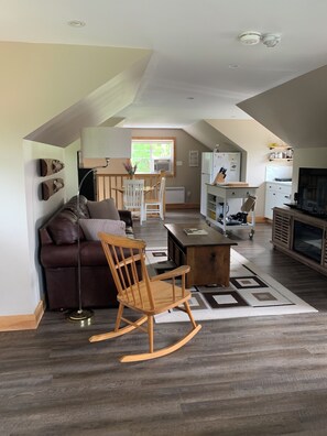 TV, fireplace, DVD player, books