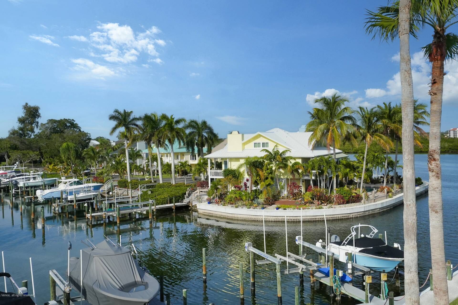 A marina with several boats docked, surrounded by palm trees and a house with a white roof.