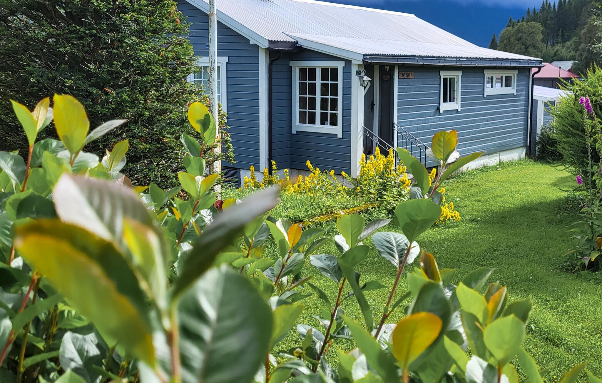 Detalle del exterior