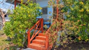Property grounds - Elle's 2 BR/2 bathroom, home in San Ignacio. Minutes from town & Maya Ruins (Cayo District)