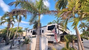 A large RV with a white exterior parked among palm trees. - Luxury Pull Thru Rv lot with access to all the Resorts amenities!  (Cudjoe Key)