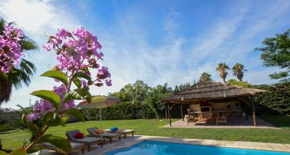 Paraíso en Medio de un Oasis