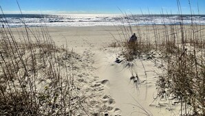Una playa arenosa con vegetación escasa y huellas que se dirigen al océano.