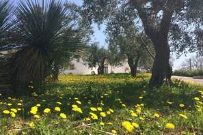 Property grounds - Trulli Albapetra with Panoramic Pool between Locorotondo and Alberobello (Locorotondo)