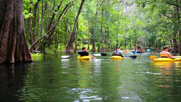 A group of people kayaking on a river surrounded by dense forest.