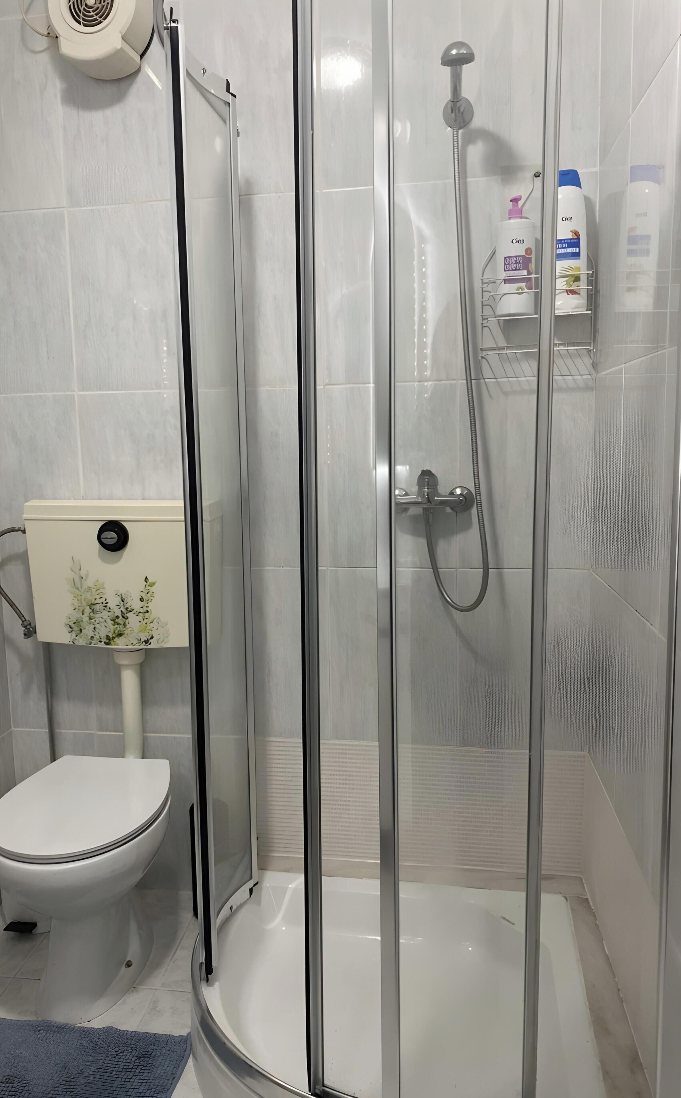 A modern bathroom with a glass-enclosed shower, a toilet, and a sink with toiletries.