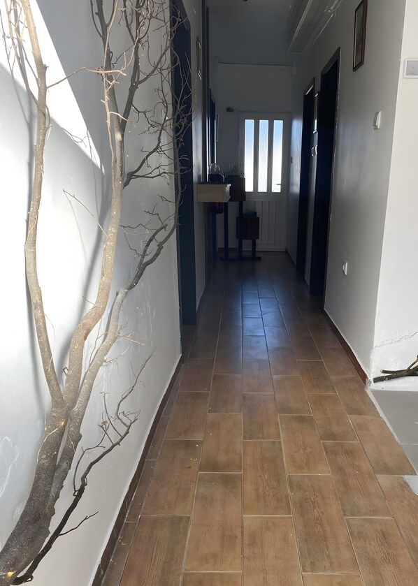 Un corridoio con pavimento in legno, una pianta sospesa al muro e una porta in fondo.