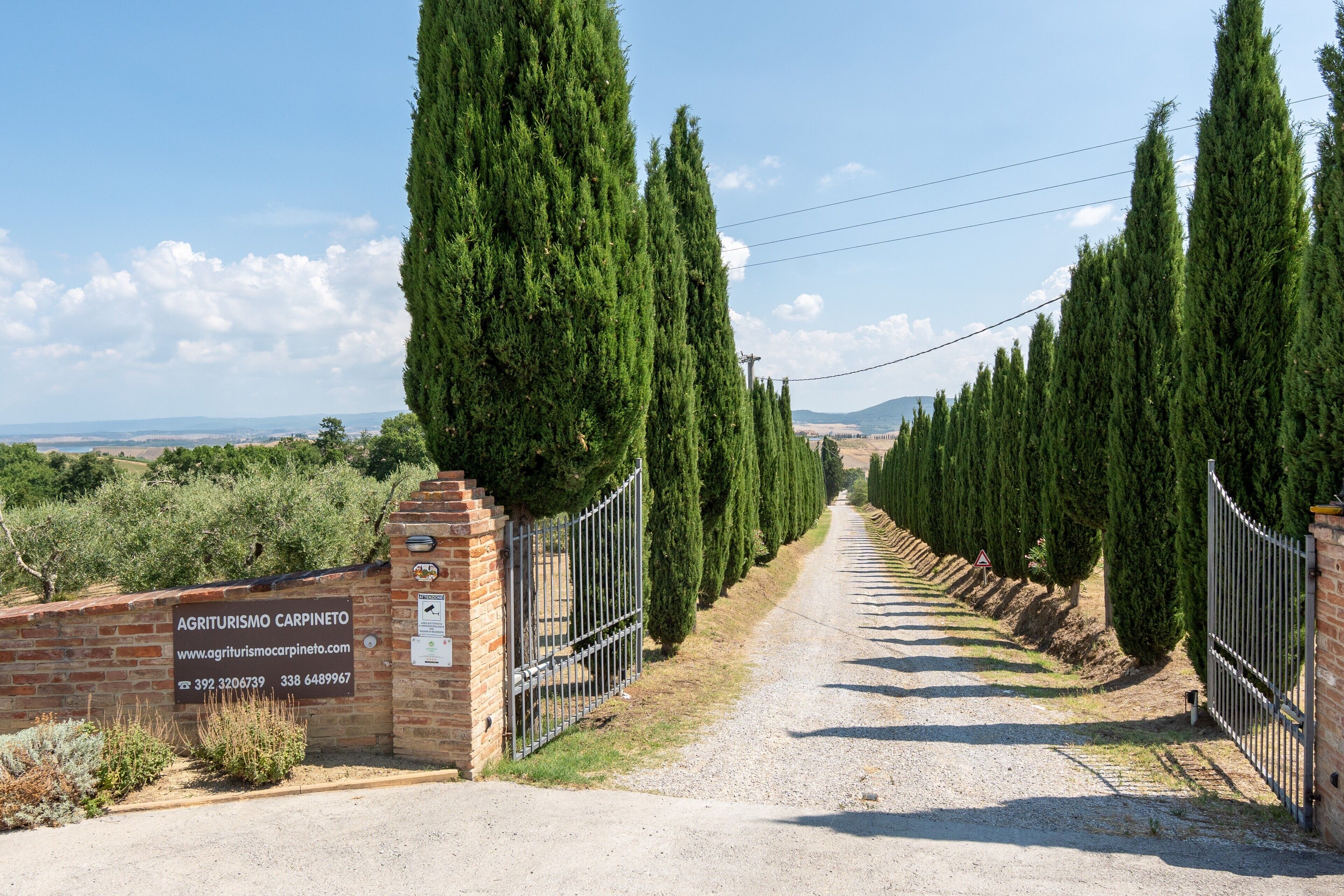 Overnatningsstedets område