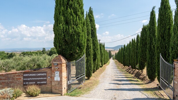 Un chemin de gravier bordé de cyprès majestueux mène à un mur de briques sur lequel est apposée une enseigne indiquant l’«Agriturismo Carpineto».