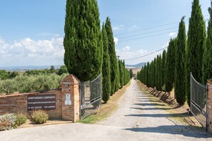 A gravel path flanked by tall cypress trees leading to a brick wall with a sign for Agriturismo Carpineto.