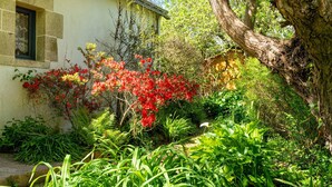 Uma casa com jardim, uma árvore e uma janela.