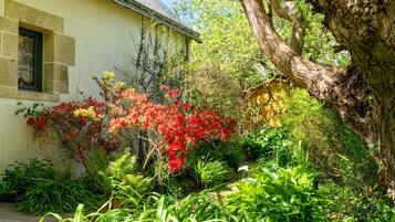 DĂ©tail de lâextĂ©rieur