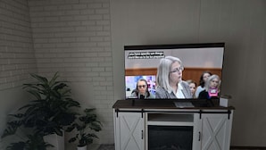 Een televisie op een wit kastje met twee planten in potten.