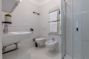 Shower, hair dryer, bidet, towels