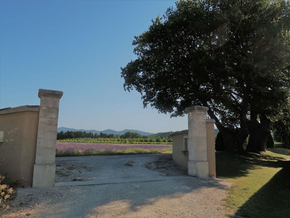 Property grounds - Beautiful private villa for 4 guests with TV, patio and pets allowed (Réauville)