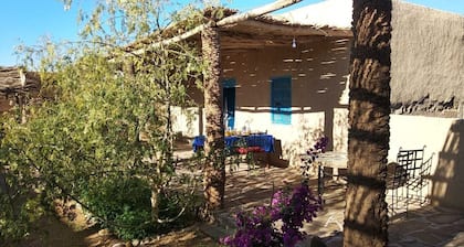 Dar Oasis Moringa