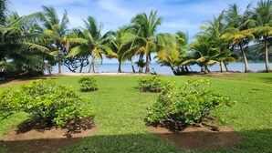 Un paisaje tropical con palmeras, césped y una masa de agua.