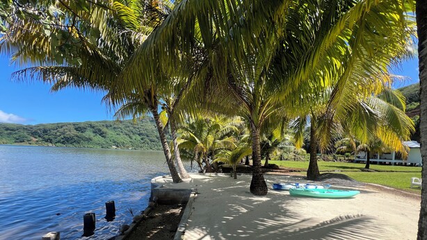 Una playa con palmeras, un paseo marítimo de hormigón y un lago tranquilo.