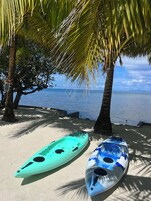 Dos kayaks sobre una playa arenosa con palmeras y vista al mar.