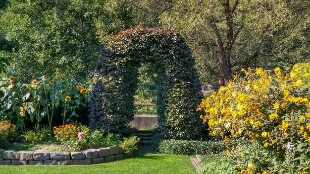 Ein Garten mit einem Kiesweg, einem grünen Bogen und verschiedenen blühenden Pflanzen.