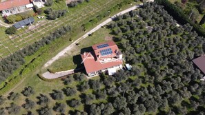 Exterior - Villa i Roccoli - olive trees with private pool (Bardolino)