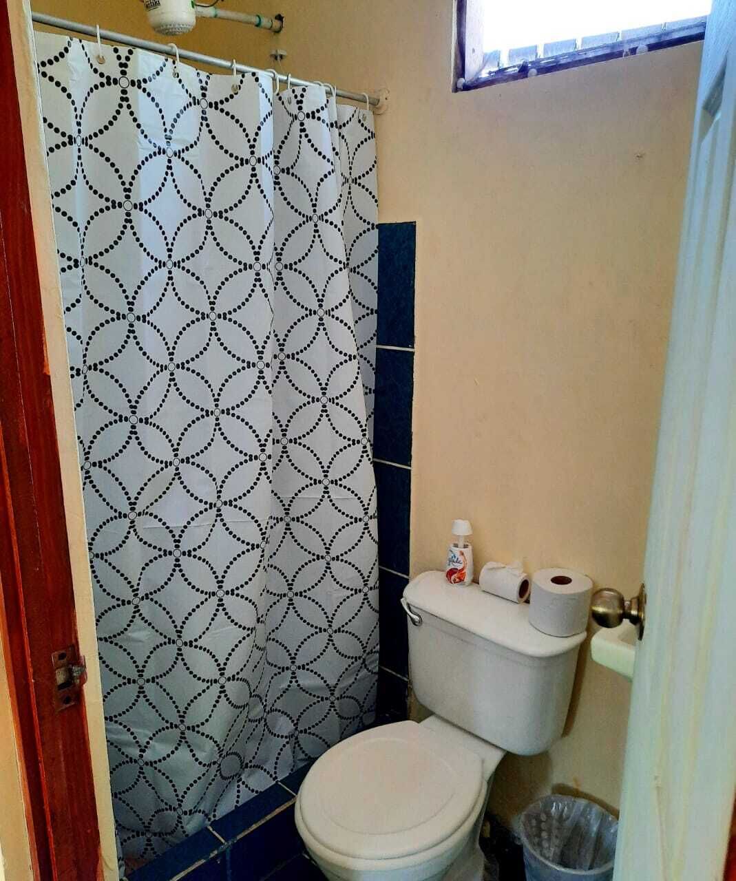 Towels, soap, toilet paper