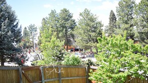 A fenced outdoor area with trees and a wooden bench.
