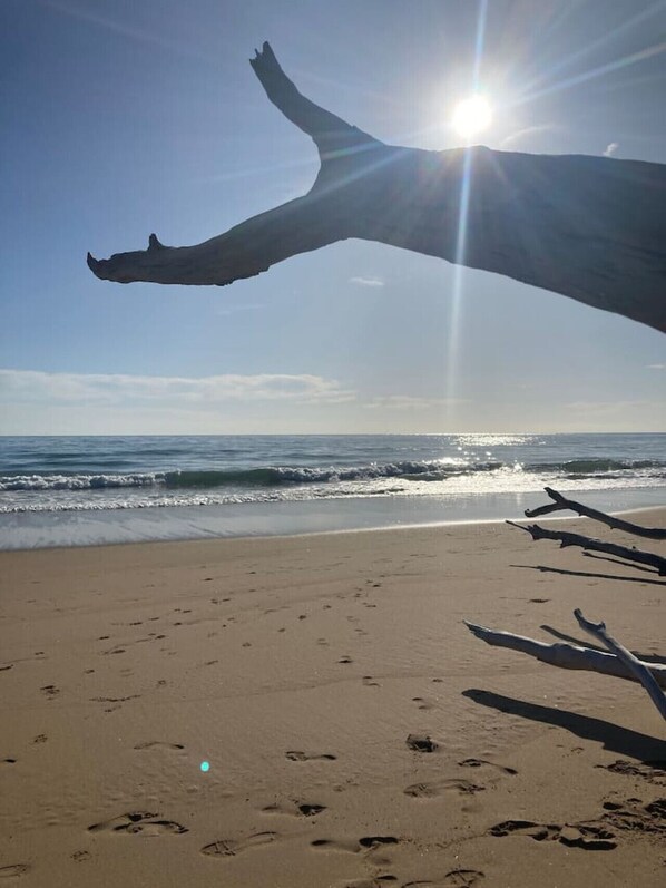 Playa en los alrededores 
