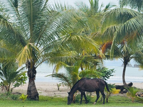 Private yard, adorable LARGE condo, beautiful pool 5