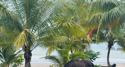 Private yard, adorable LARGE condo, beautiful pool 5