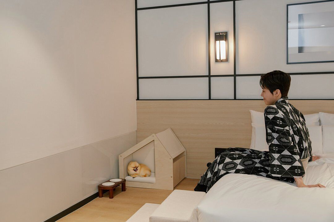 A modern hotel room with a wooden headboard, a small wooden dog house, and a bedside table with a bowl.
