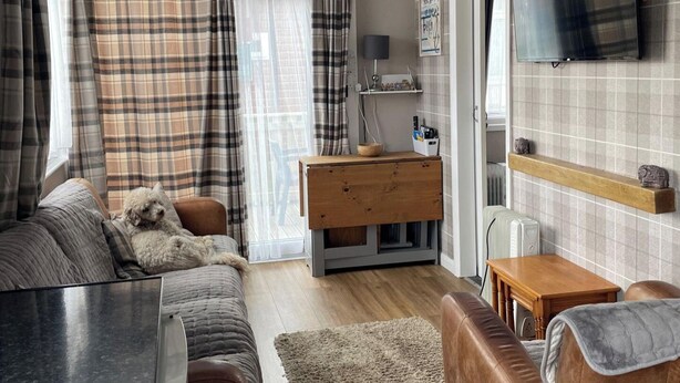 A cozy living room with a sofa, a wooden dresser, a television, and a dog resting on the sofa.