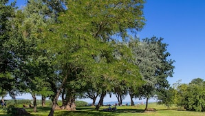 A park with large trees and grassy areas. - Wonderful private villa for 8 guests with terrace and pets allowed (Keszthely)
