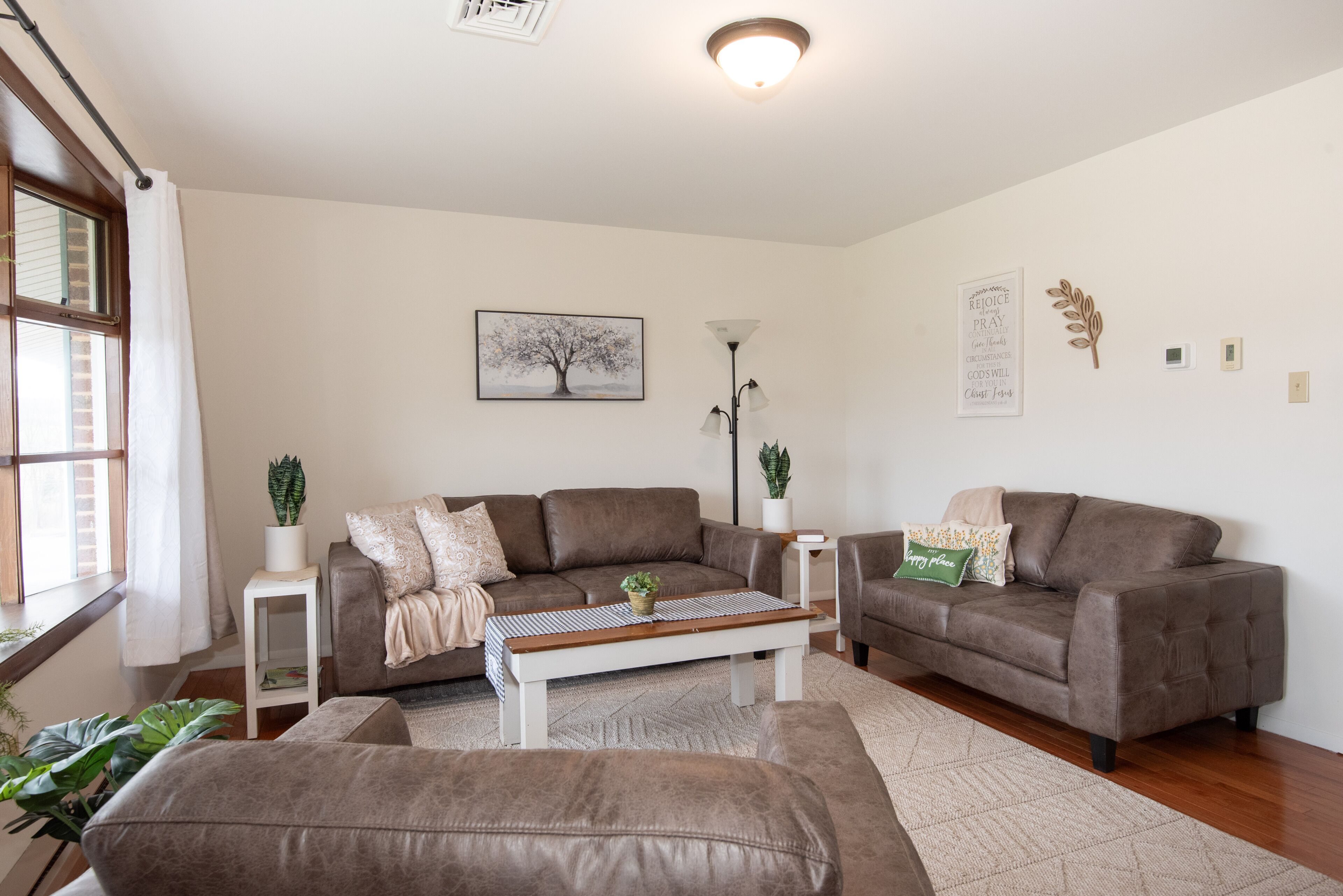 Videojuegos, tenis de mesa y libros 