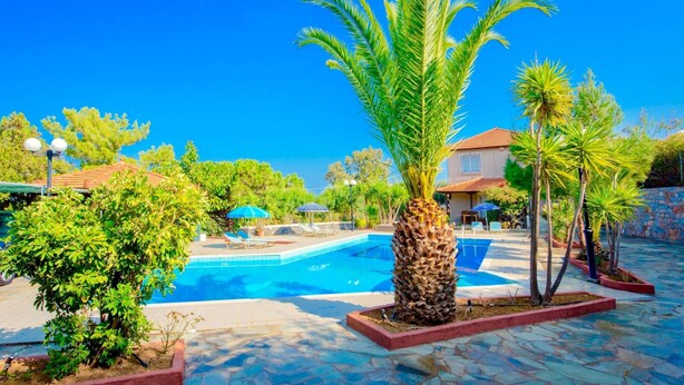 Piscina rodeada por palmeiras e vegetação, com um céu azul límpido.