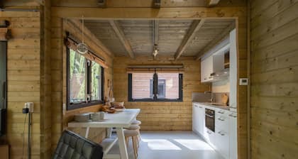 Elegant wooden house on the edge of the forest