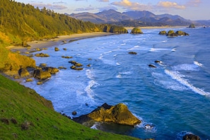 Beach nearby - Incredible Panoramic Ocean Views, Open Layout, Updated Decor, BBQ, Close Walk to Beach & Park (Lincoln City)