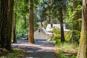 A white house with a garage, surrounded by tall trees and a paved driveway.