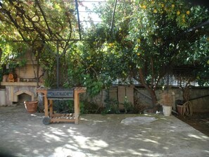 Terras