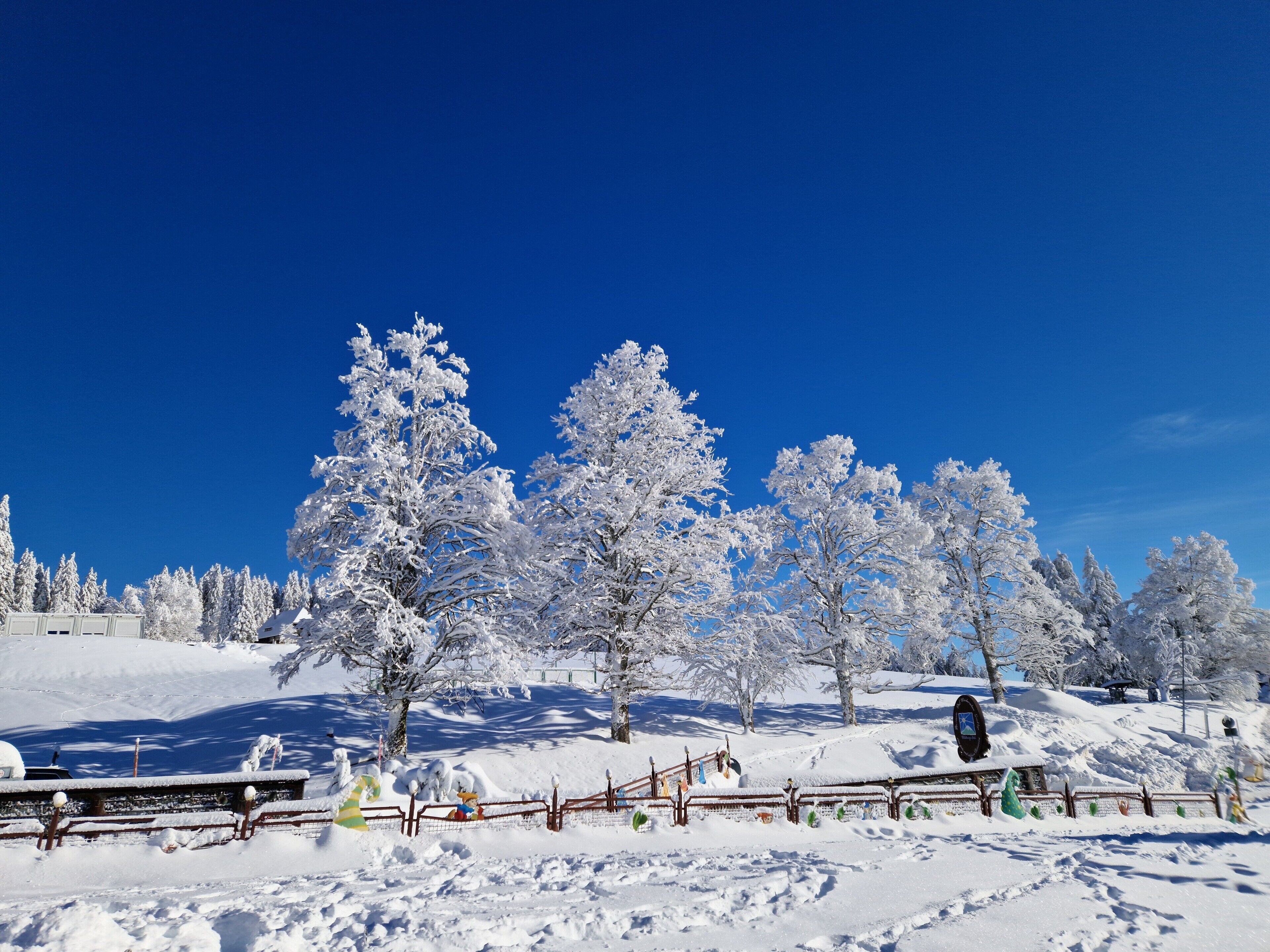 Schneebedeckte Landschaft mit Bäumen und einem Holzzaun.