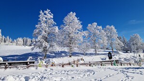 Un paysage enneigé, avec des arbres et une clôture en bois.